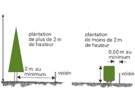 Schéma explicatif des distances légales de plantation : 0,5m pour les arbres de moins de 2m, 2m pour ceux de plus de 2m
