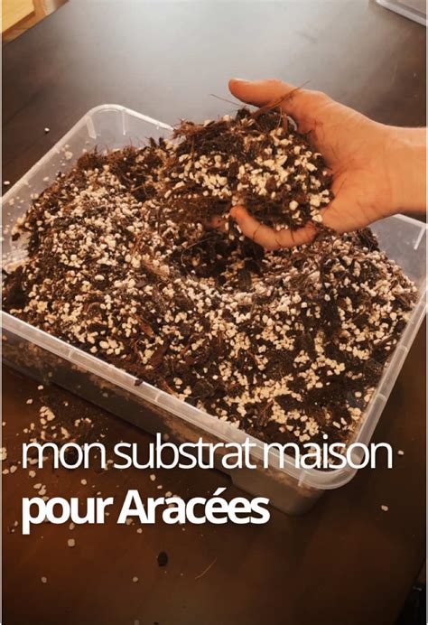 schéma illustrant le mélange de substrat idéal pour un Hoya : terreau, écorces, perlite et drainage