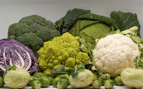 Variétés de choux