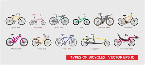 Illustration des différents types de groseilliers