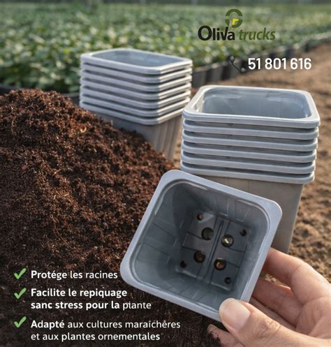 Outillage de base pour le repiquage