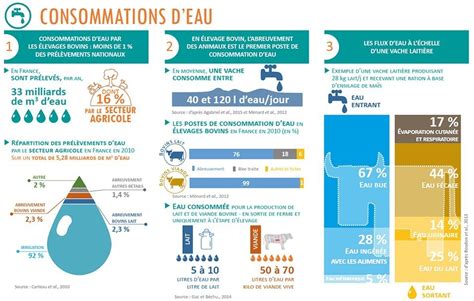 infographie sur la consommation d'eau moyenne d'un court de tennis en terre battue