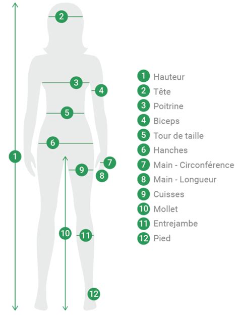 Infographie montrant les zones de coupe pour une taille de rajeunissement efficace