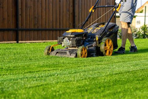 Pelouse verte et dense après une tonte professionnelle