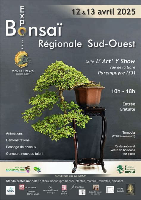 Divers bonsaï en exposition