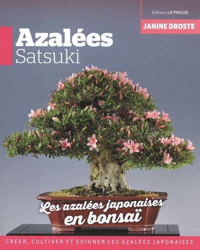 Composition de bonsaï avec azalées Satsuki