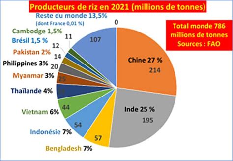Graphique : Production de riz paddy par province au Vietnam en 2021