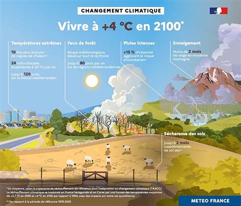 Schéma des impacts du changement climatique sur la riziculture