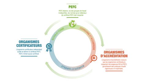 Schéma illustrant la certification PEFC sur les manches en bois des outils de jardin