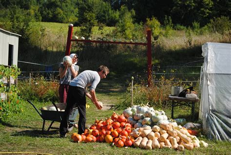 Session de travail méditatif à la Happy Farm du Hameau du Haut