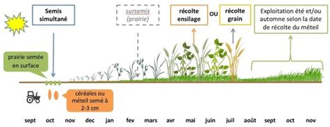 Schéma illustrant le cycle de récolte des fourrages : fauche, séchage, pressage et stockage