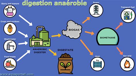 Schéma de la production de biogaz par digestion anaérobie