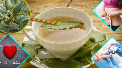 Infusion de feuilles de citronnier dans une tasse