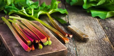 Comparaison visuelle entre différentes variétés de rhubarbe
