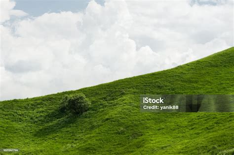 Une photographie haute définition montrant une pelouse verdoyante contrastant avec un ciel bleu dégagé, typique des fonds d’écran minimalistes.