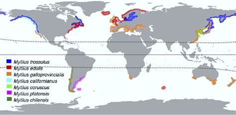 Carte de répartition géographique des espèces d'Hydrangea