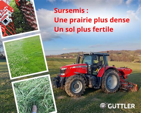 Illustration montrant la technique du sursemis sur une zone dégarnie de pelouse