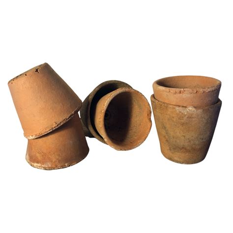 Photo montrant différents types de pots en terre cuite adaptés aux fruitiers nains
