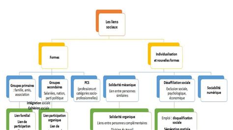 Infographie comparant les différents types de liens et leur impact sur l'écorce