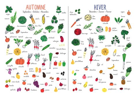 Infographie présentant le calendrier des légumes d'automne et d'hiver