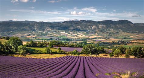 Paysage vallonné et diversifié des Baronnies provençales