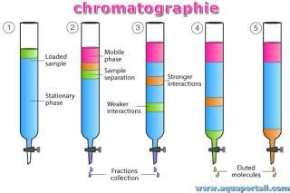 Schéma explicatif du principe de la chromatographie