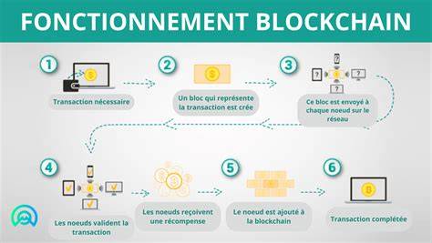 Infographie illustrant l'intégration de la technologie SYNERKEM dans la protection des semences