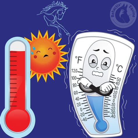 Schéma illustrant le choc thermique sur le feuillage d'une adventice