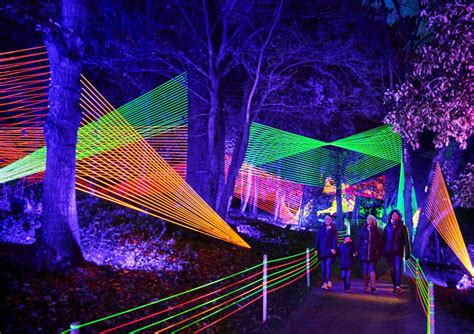 Illuminations féeriques dans le parc lors de l'événement de Noël