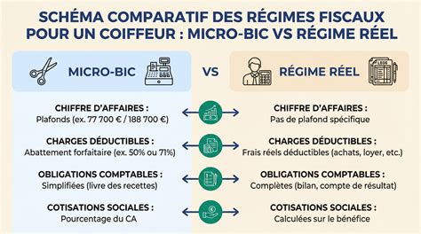 Diagramme comparatif des régimes fiscaux pour une entreprise paysagère