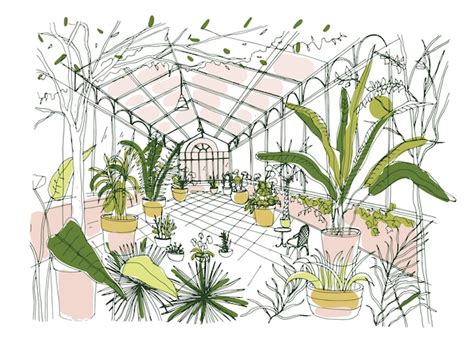 Illustration d'un jardin botanique luxuriant