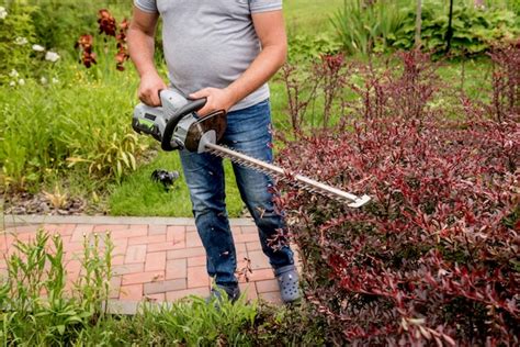 Jardinier taillant un arbuste