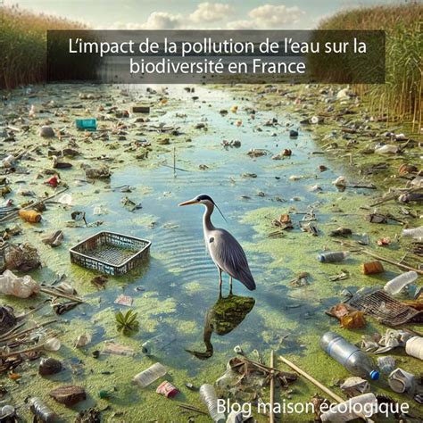 Impact du désherbage sur la biodiversité