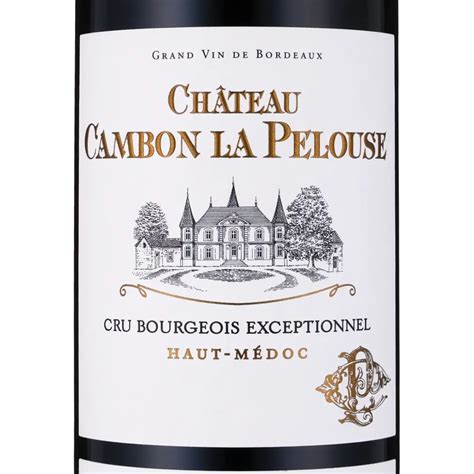 Vignoble du Château Cambon La Pelouse sous un ciel bordelais