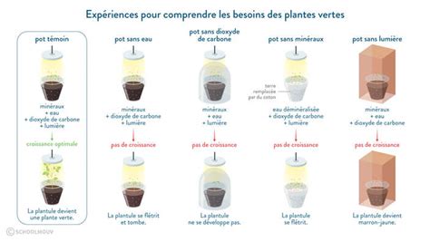 Schéma des besoins nutritionnels des plantes