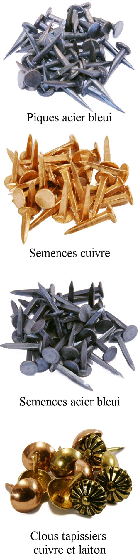 Illustration de différents types de semences de clou tapissier