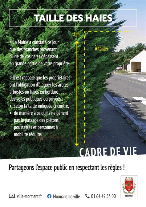 Infographie sur les règles de hauteur des haies