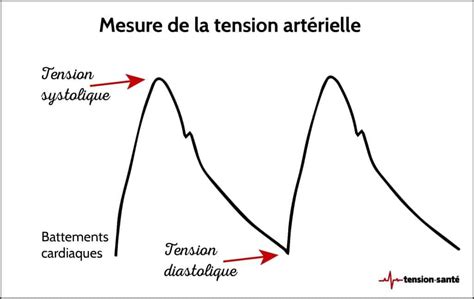 Diagramme des mécanismes d'action de l'hibiscus sur la tension artérielle