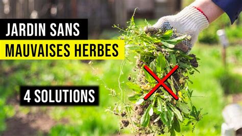 Jardin sans mauvaises herbes