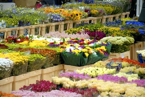 Marché aux fleurs de Rungis