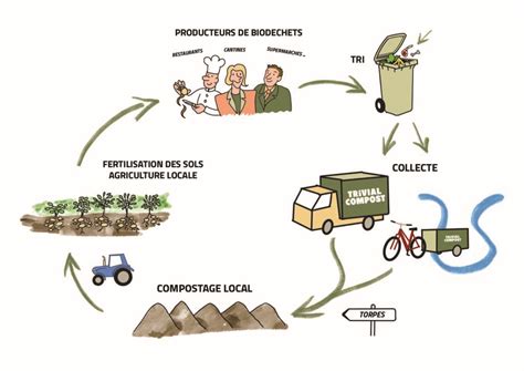 Différentes solutions de collecte des biodéchets pour les professionnels