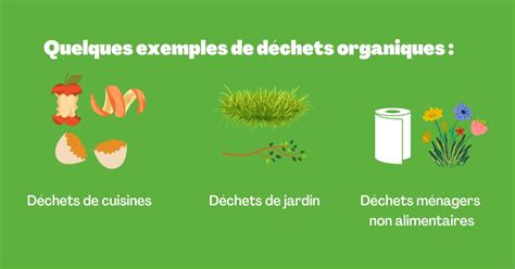 Exemples de déchets organiques à composter