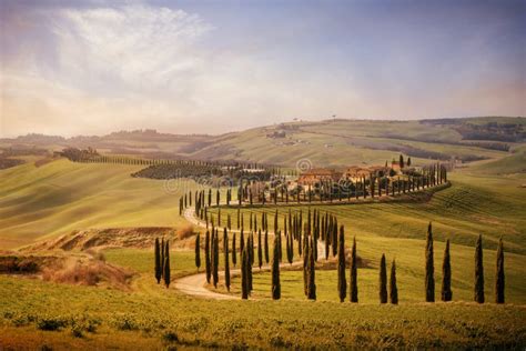 paysage de cyprès de Toscane