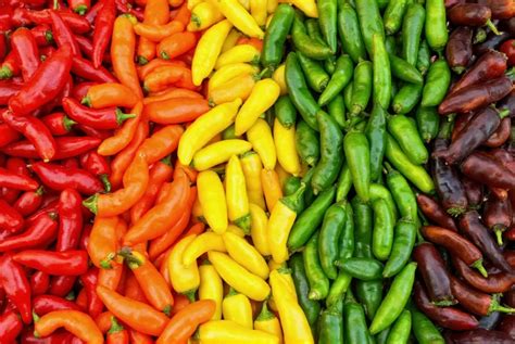 Assortiment de piments mexicains (chiles)