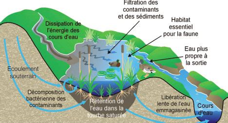 Schéma illustrant les zones de recherche en Loire-Atlantique
