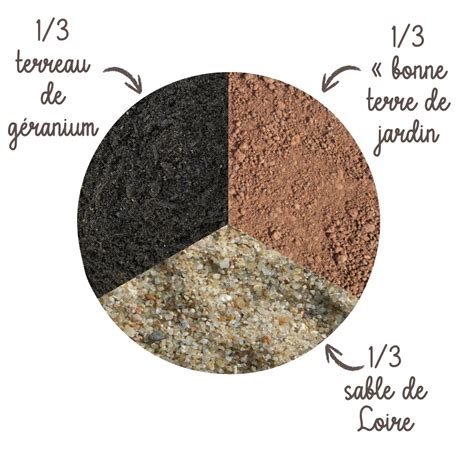 Schéma illustrant le mélange idéal de substrat pour succulentes