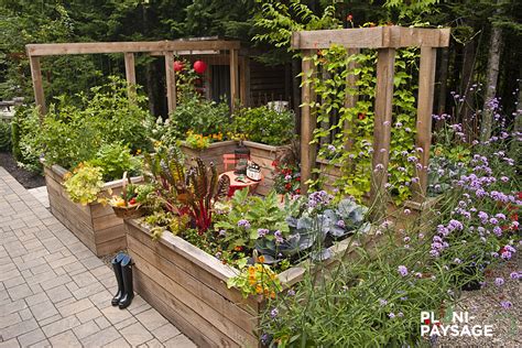 Vue d'ensemble d'un jardin urbain avec plusieurs bacs en zinc