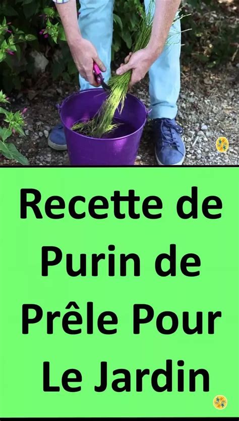 Schéma illustrant la fabrication d'un purin de fruits au jardin