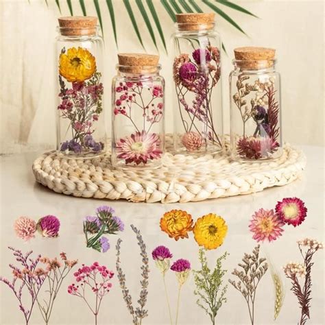 fleurs de chèvrefeuille séchées dans un récipient en verre