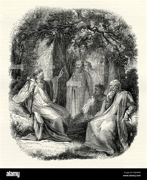 Ancienne gravure représentant des druides utilisant des plantes